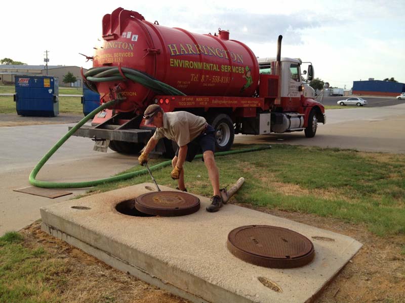 Flush septic tank treatment